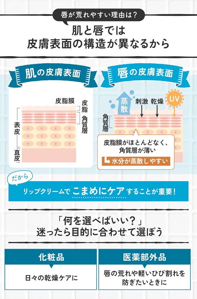 ポイント①:唇は「外的刺激を受けやすい」から、絶対に油断しちゃダメです