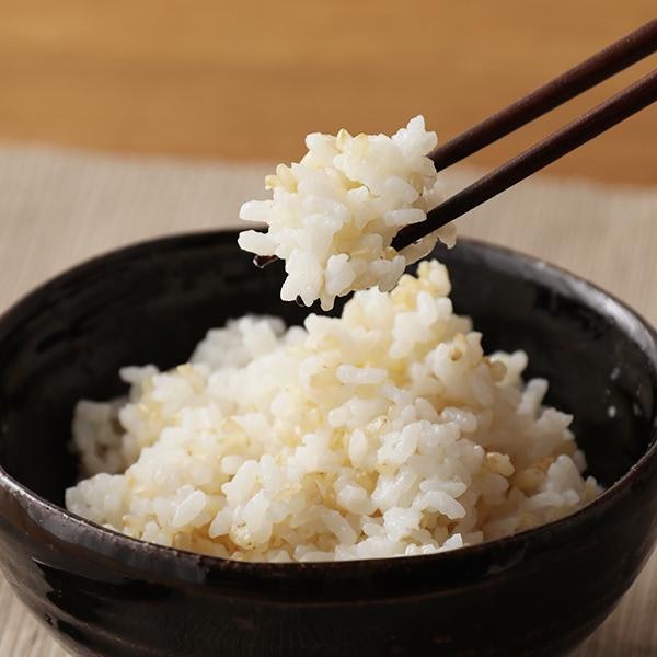 製造方法によって食感が違う。柔らかい食感がよいならウエットタイプも候補に