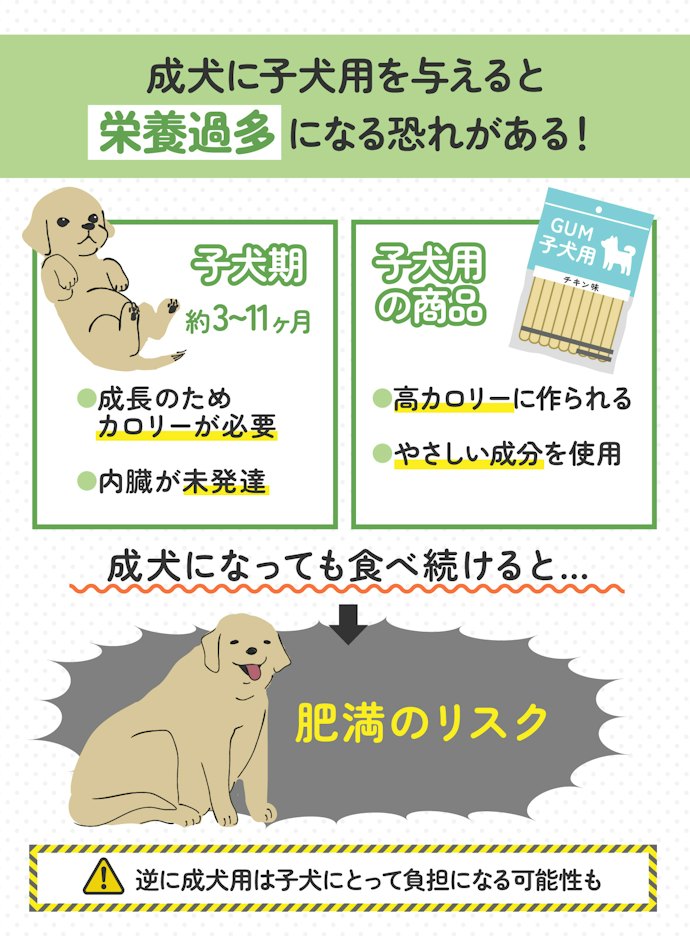 愛犬の月齢・年齢に合ったものを選ぼう