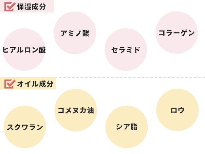 ターンオーバーをケアする保湿成分にも注目しよう