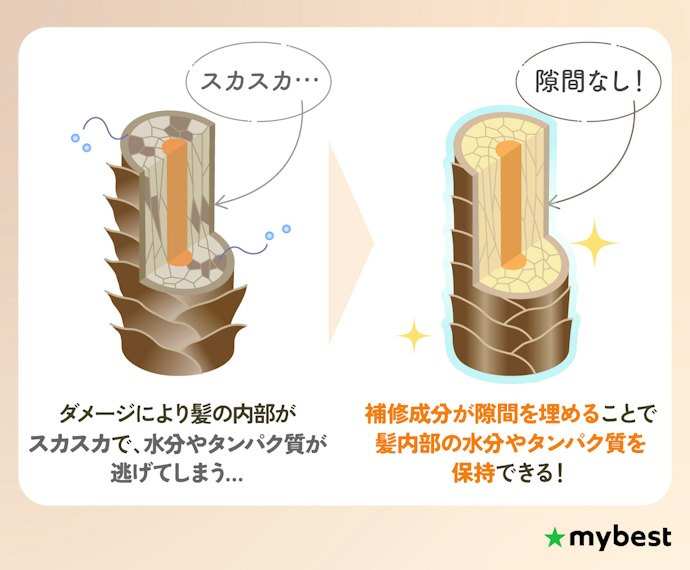 傷んだ髪には補修成分が大事