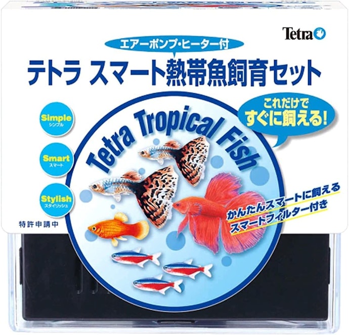 熱帯魚の飼育初心者の人は、水槽セットを検討しよう