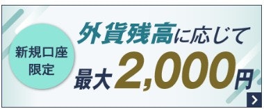 外貨預金|口座開設月の翌々月までがお得!外貨残高に応じて最大2,000円もらえる