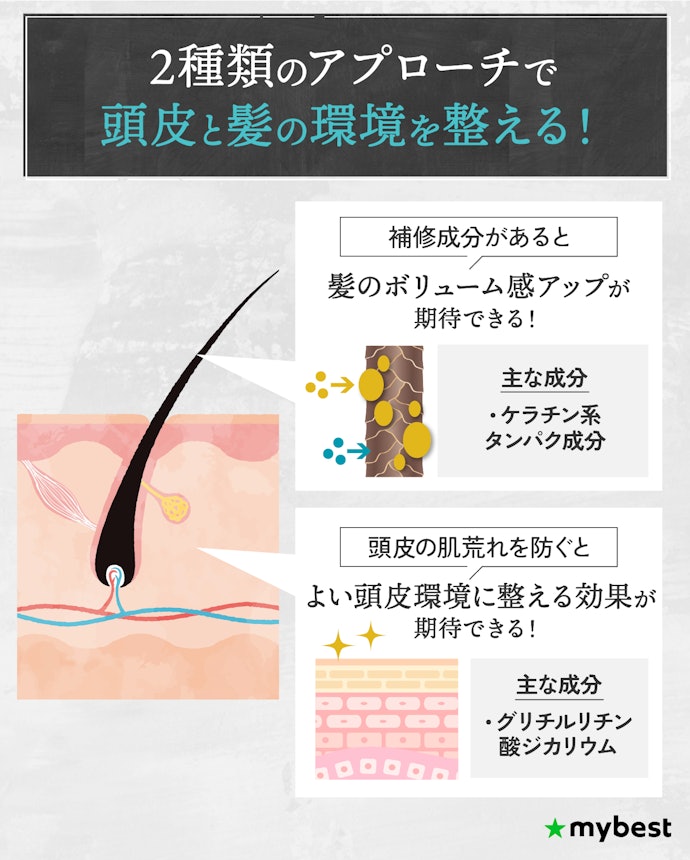 髪のボリューム感アップには、肌荒れ防止成分と補修成分の2つが重要!