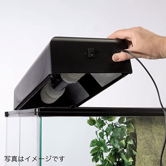 ケージ内の温度が上がりすぎないように管理しよう