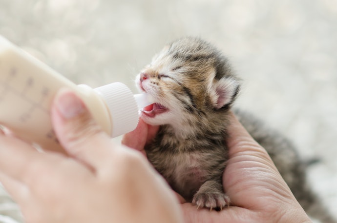 はじめて飲ませるミルクは、飲んだあとの様子を見よう