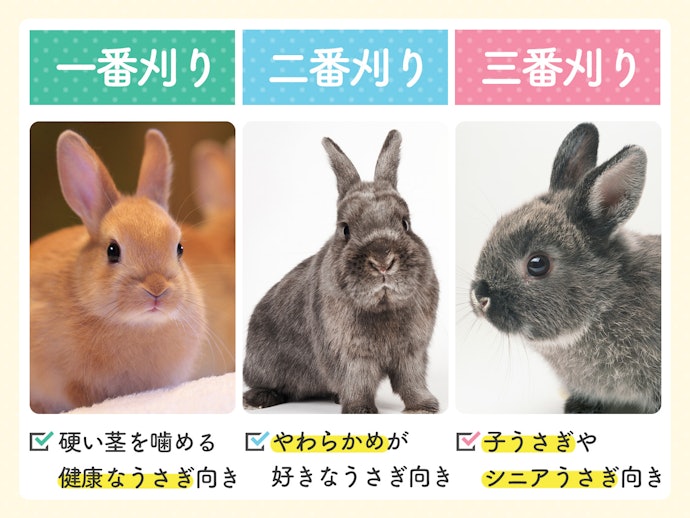 刈り込み時期からうさぎの健康状態・好みに合うものをチェック