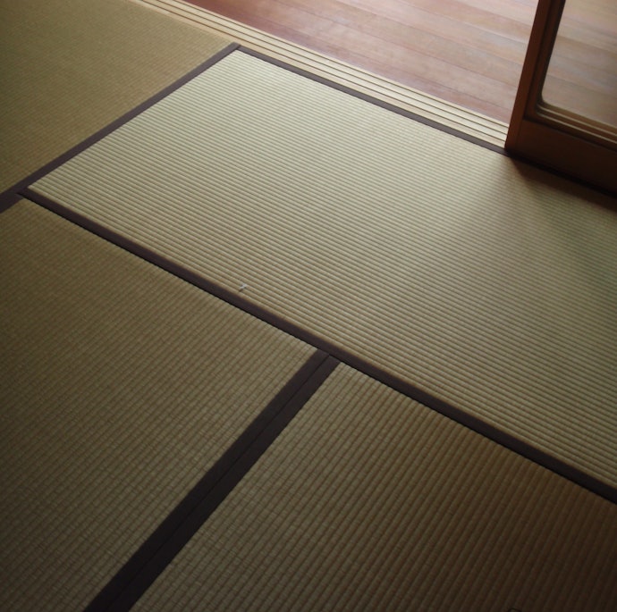 自然に見せたいなら置き畳・い草ラグがおすすめ