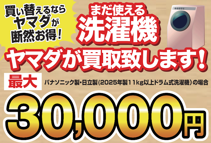 ヤマダ電機|最大30,000円引き