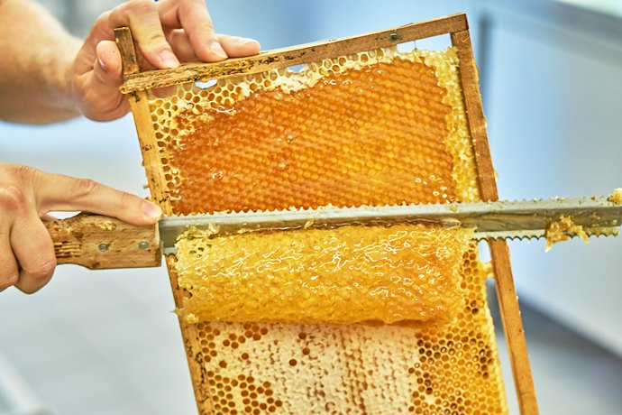 採蜜工程・価格で判断。信頼できる生産元から購入しよう