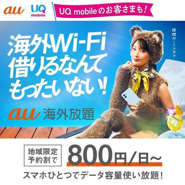 海外で端末を使うなら有料オプションが必要