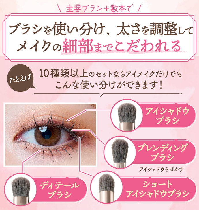 カラーや部位によって細かくブラシを分けたいなら10種類以上のセットにしよう