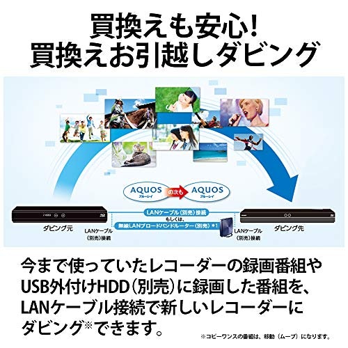 将来の買い替えに備えて、録画データの引っ越しができるかも確認