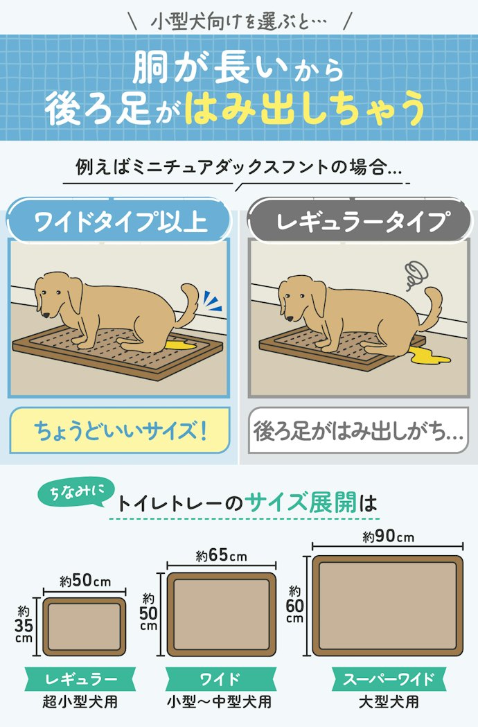 胴長犬種はサイズの選び方に注意。ひとまわり大きいサイズのものを選ぼう