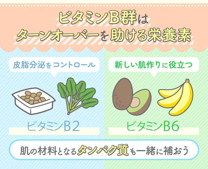 栄養不足によるターンオーバーの乱れには、ビタミンB群を補おう