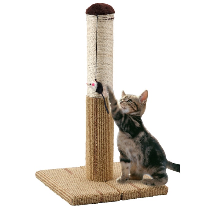 おもちゃ・またたびなど、猫の興味を引く付属品も要チェック