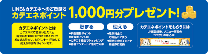 【カテエネポイント1,000pt】LINEからの会員番号申請特典