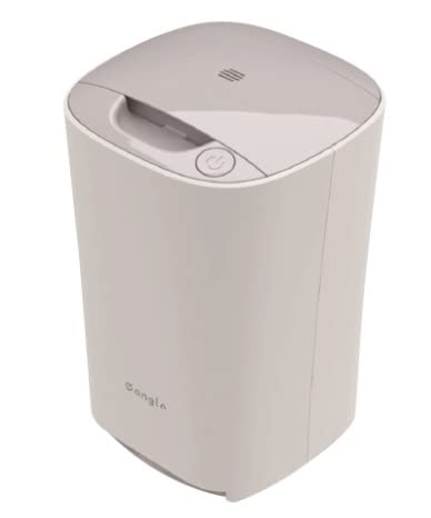 e angle ステーションクリーナー 電動ちりとり　モップ e angle ステーションクリーナー ANG-SC-A11-R : 合同会社 ing