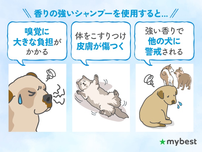 嗅覚が敏感な犬に配慮して、無香料タイプを選ぼう