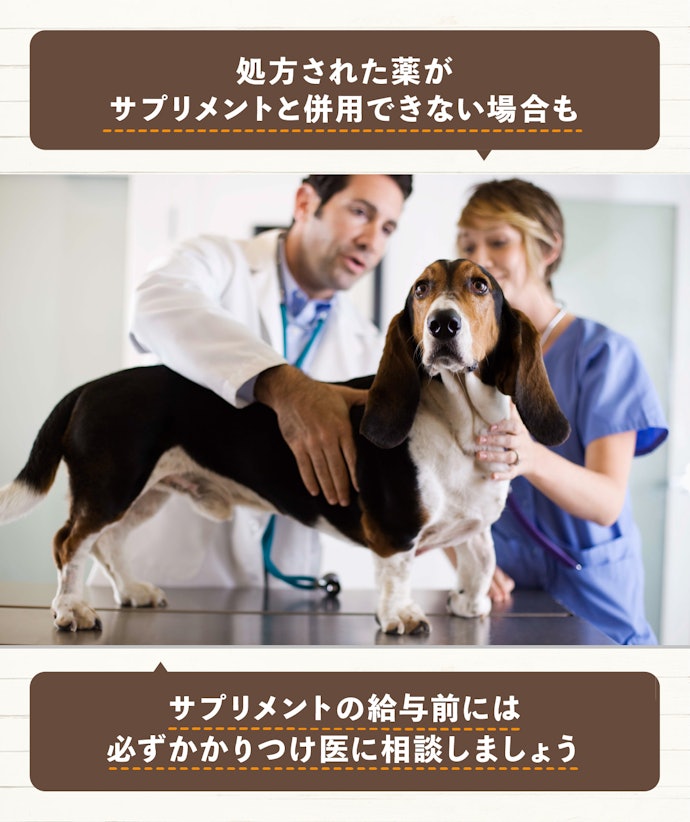 処方された薬を飲んでいるなら、まずは獣医師に相談しよう