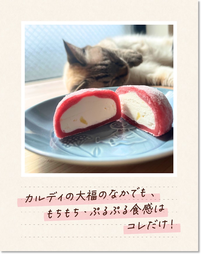 カルディマニアが語る! 推しポイントはココ