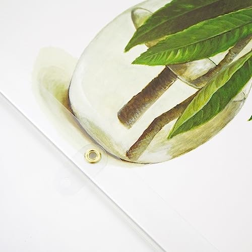 壁掛け用の穴のサイズを確認。掛けたときに落ちない重さかもチェック