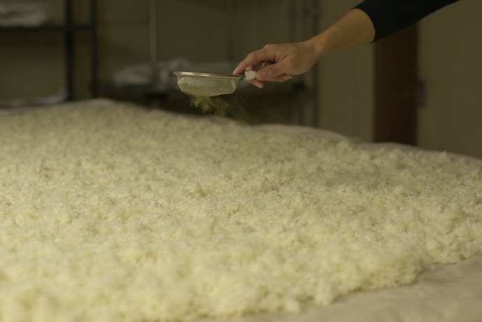 すっきりした味わいを求めるなら、「静岡酵母」を使ったお酒がおすすめ