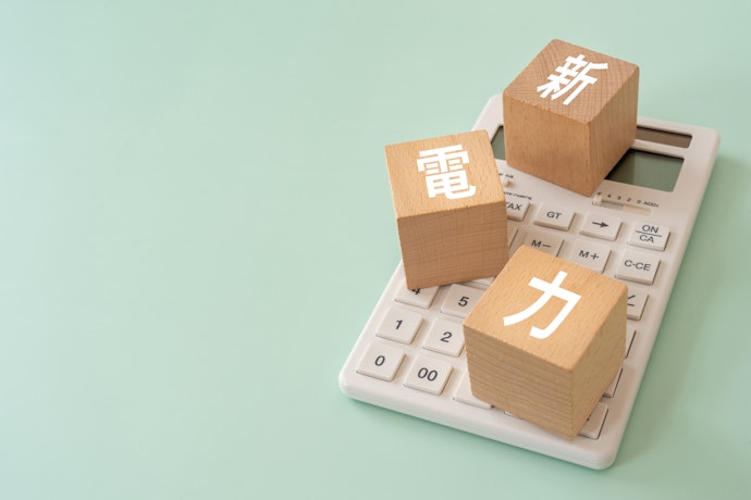 新電力では名称が異なる場合や燃料費調整額を設けていない場合も