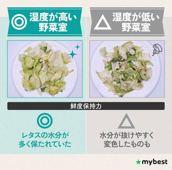 各商品の鮮度維持力の差は野菜室にあり!冷蔵・冷凍では差はほとんどなかった