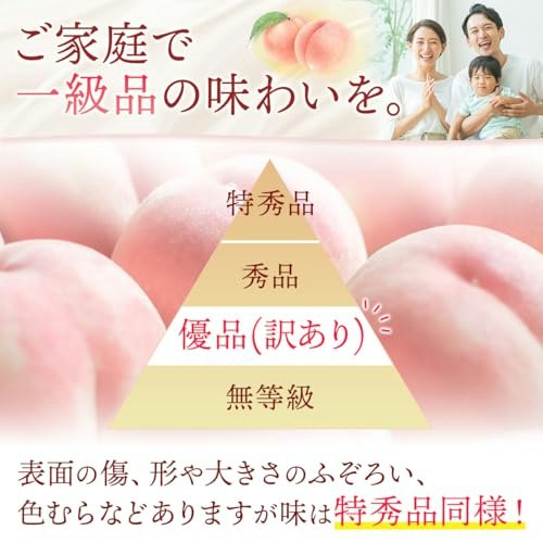 お得さを重視するなら、訳あり品も選択肢に加えよう