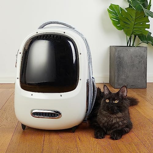 内寸は猫の体格の1.2〜1.5倍を目安に。耐荷重もあわせてチェック