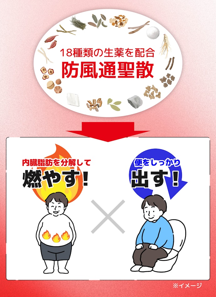 Q.では、ナイシトールZはどのように内臓脂肪による肥満症へアプローチしているのか教えてください!