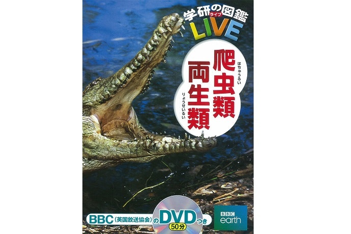 CD・DVDの特典付きなら、もっと理解が深まる