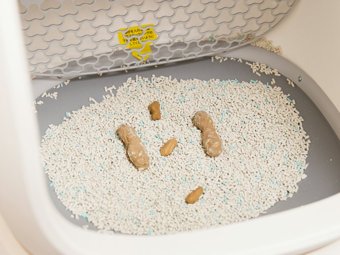 排泄物の回収の正確性