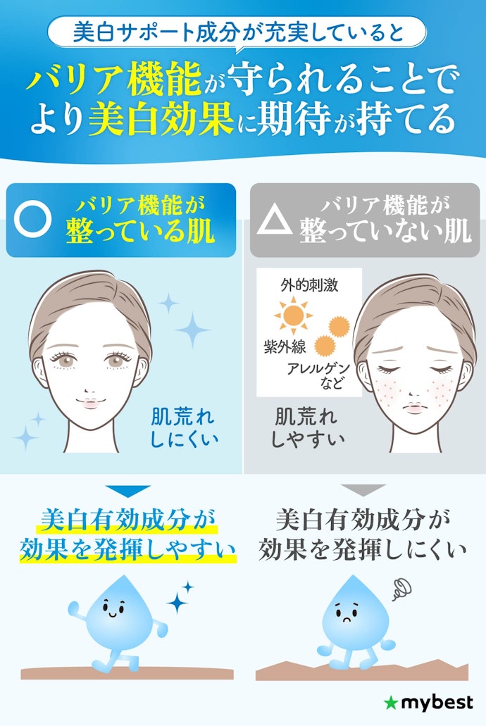 シミが気になる人は、肌荒れ防止成分・整肌成分など美白サポート成分も要チェック