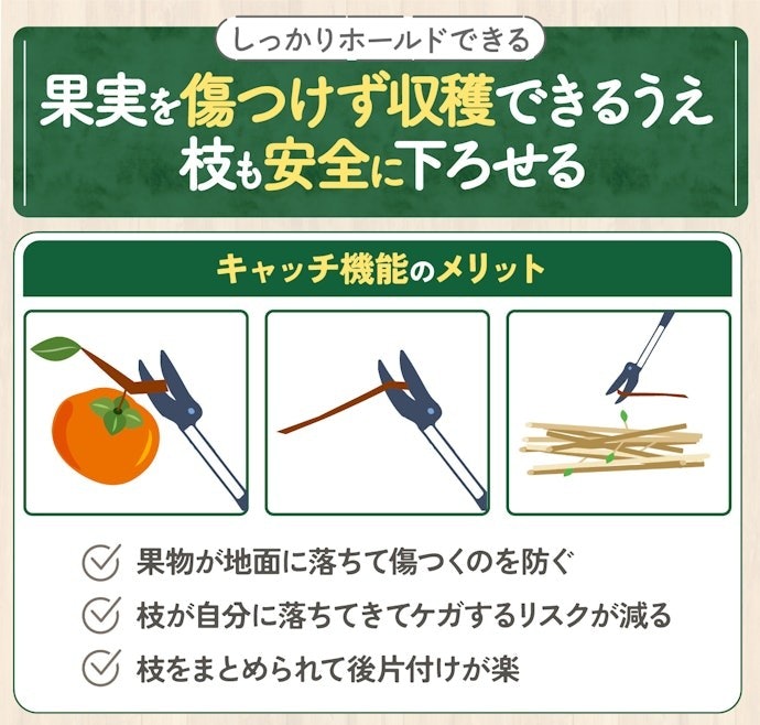 高枝切りバサミで果実を落とさず収穫!キャッチ機能に注目