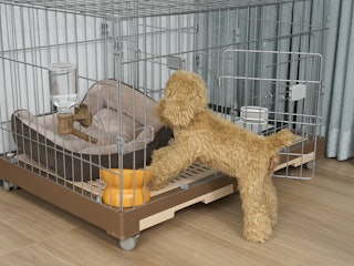 犬の出入りのしやすさ