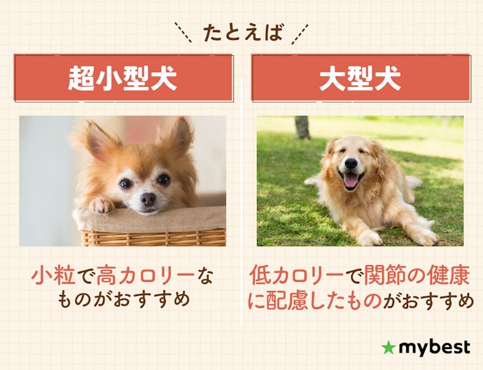 犬種・体型に合った食べやすいフードを選択しよう