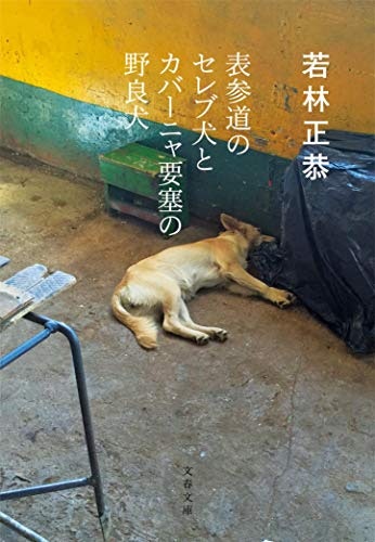 有名人・タレントのエッセイ本もおすすめ