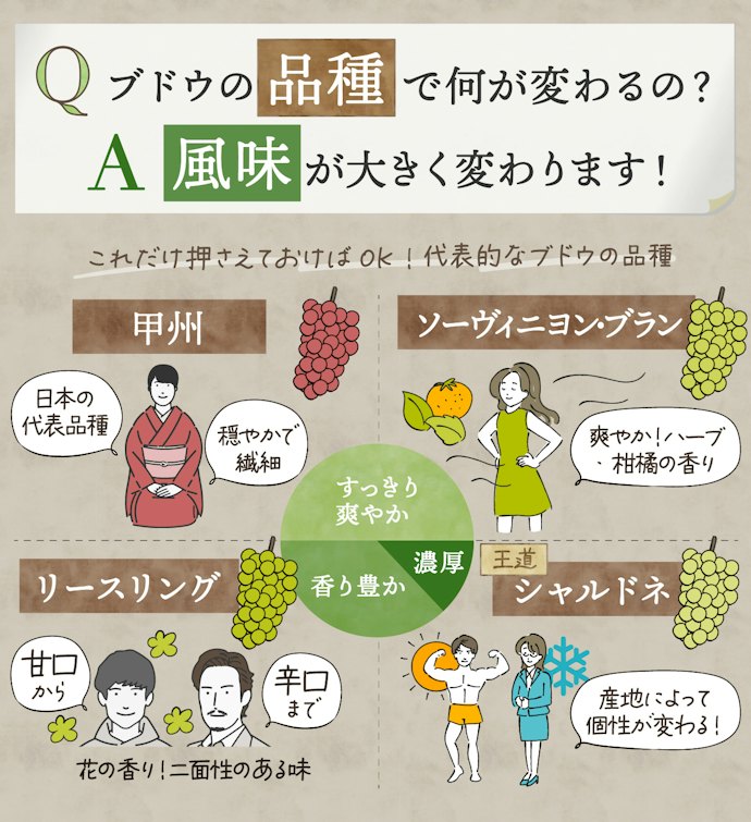 お気に入りの1本を見つけるならブドウの品種に注目して