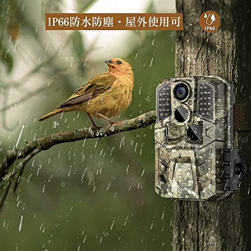 防水防塵性能は必須!最低でもIP65のものをチョイス