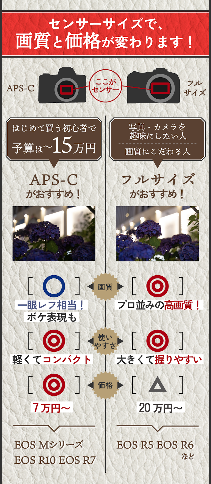 まずはセンサーサイズによる違いを確認して選ぶ