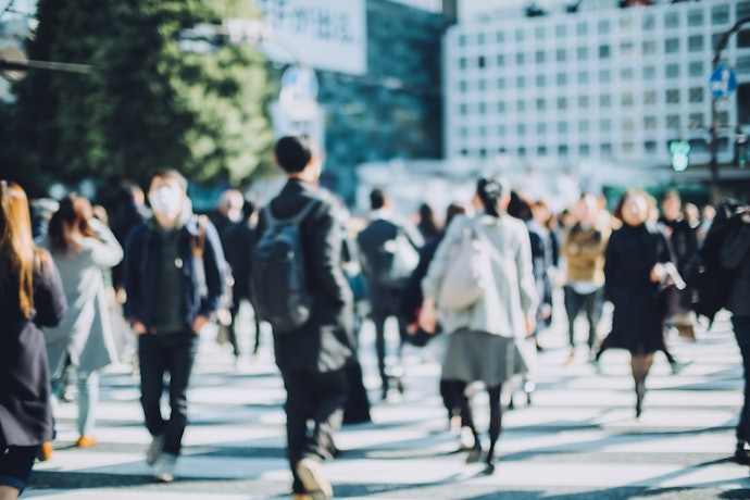 相場が変動する原因:FXは国の経済状況。株は企業の業績