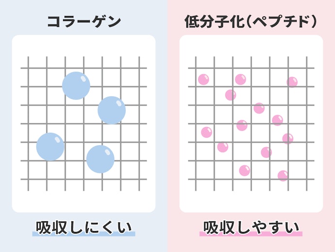 効率的に吸収したいなら、低分子化されたものがおすすめ
