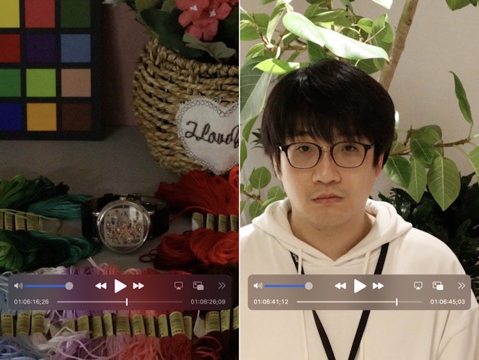 動画の画質