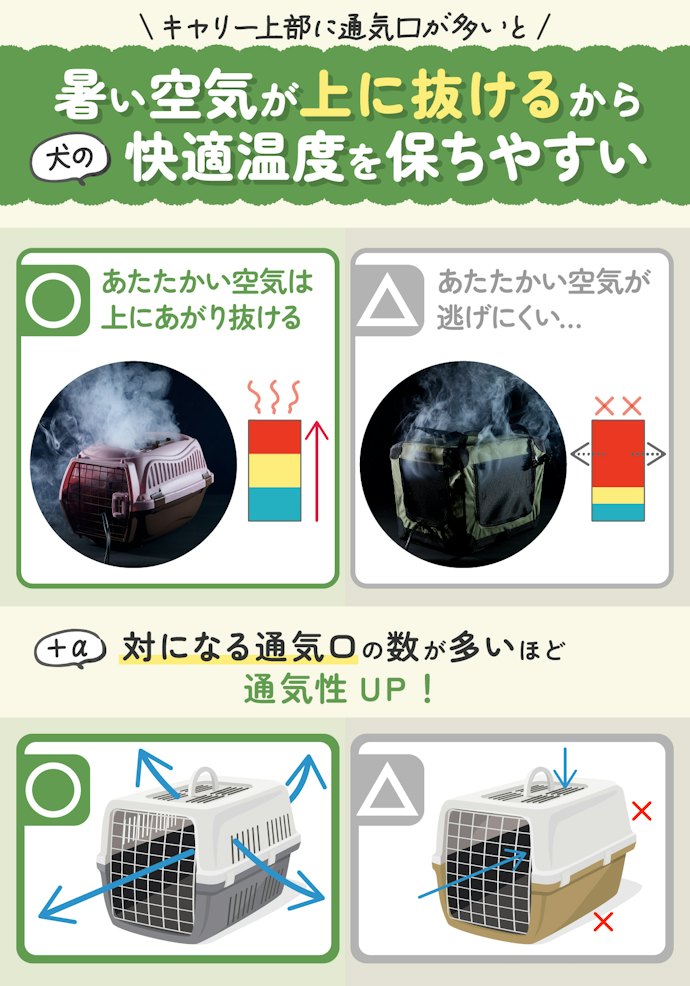 夏場にも使うなら通気性のよさが重要。キャリー上部に通気口が多いキャリーバッグを選んで