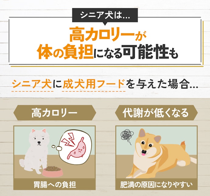 シニア犬には低カロリー・高栄養なものがおすすめ