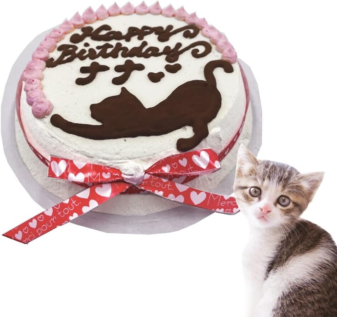 猫が食べきれるサイズを選択しよう