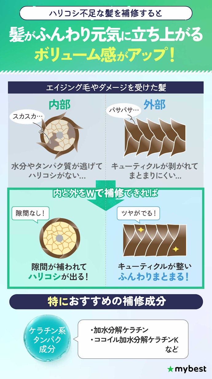 ボリューム感アップ成分が充実していたシャンプーがおすすめ