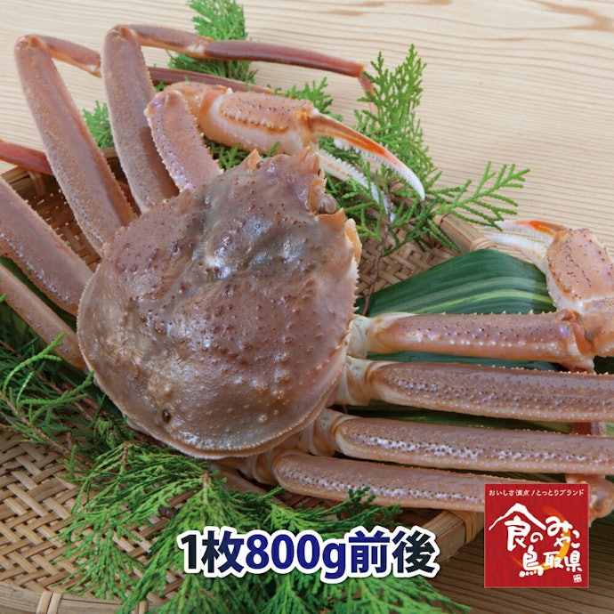 贈答用なら、ブランドタグを確認しよう